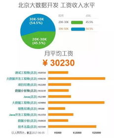 2017年大數據行業 掘金“服務”藍海，數據變現正當時